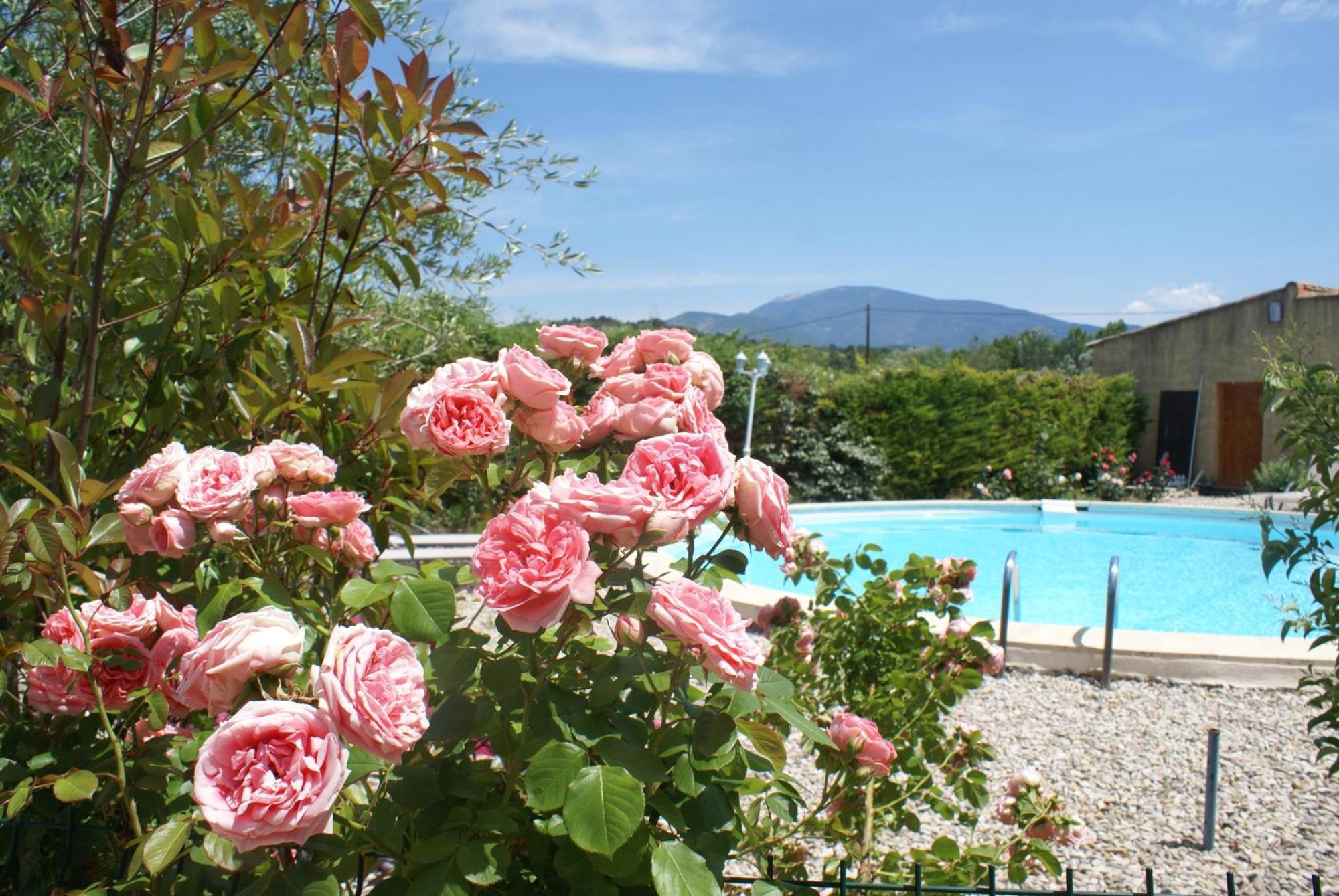 Les Romarins Bed and Breakfast Crestet Εξωτερικό φωτογραφία