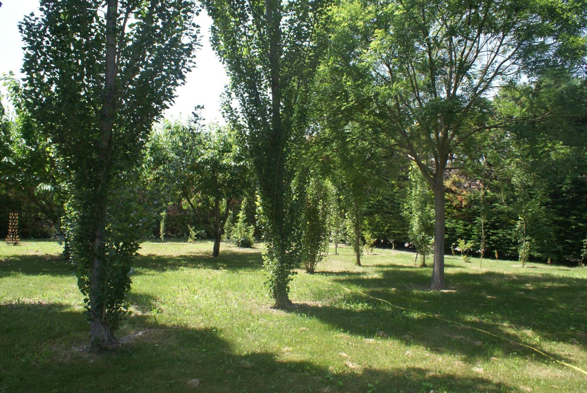 Les Romarins Bed and Breakfast Crestet Εξωτερικό φωτογραφία